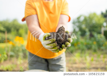 Female hands touching soil on the field. A farmer checks quality of soil before sowing. Agriculture, gardening or ecology concept. 105615159