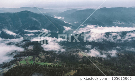 Landscape with mountains, low clouds and forest at the sun rise 105615965