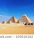Pyramid of Giza and camels in the desert of Egypt 105616162