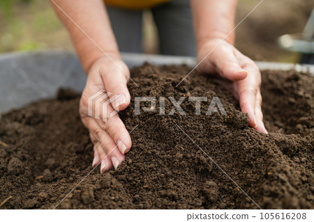Woman hands touching soil on the field. Expert hand of farmer checking soil health before growth a seed of vegetable or plant seedling. Business or ecology concept. Woman hands touching soil on the field. Expert hand of farmer checking soil health before growth a seed of vegetable or plant seedling. Business or ecology concept. 105616208