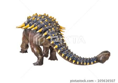 ankylosaurus dinosaur , isolated background 105616507