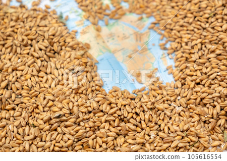 contours of the African continent among the grains of wheat. Concept contours of the African continent among the grains of wheat. Concept 105616554