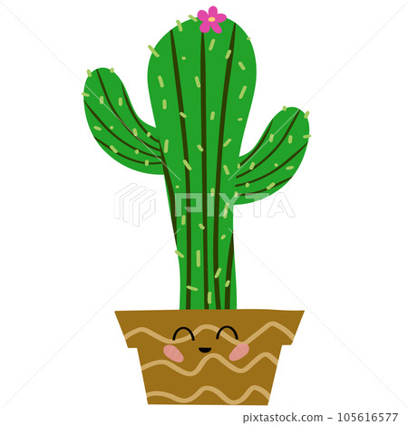 cactus cactus 105616577