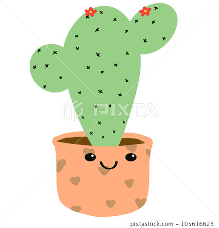 cactus cactus 105616623