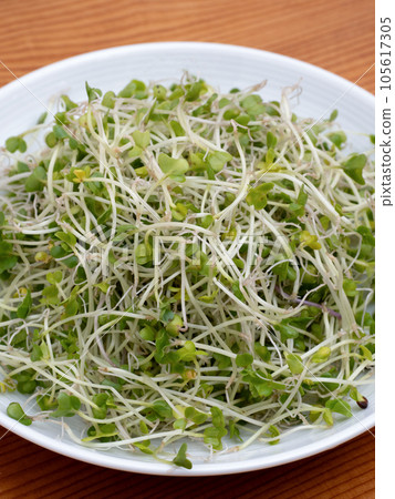 西蘭花芽 105617305