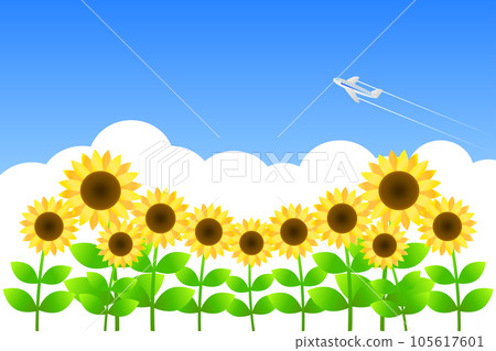 一架飛機飛過向日葵田和雷云密布的藍天。夏天圖像背景。 105617601
