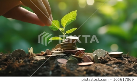 Human hand and young green sprouts growing on coin stacks over green blurred background. Business finance strategy, money earning and saving ideas, future investment concept. Copy space. 3D rendering. 105617869