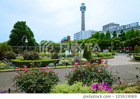 山下公園花壇 105619069