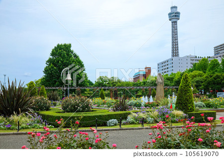 山下公園花壇 105619070