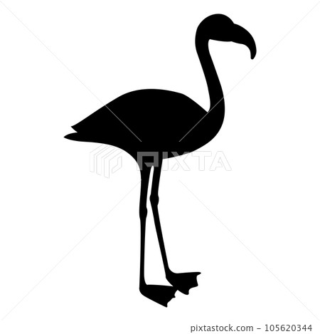 flamingo icon vector illustration design flamingo icon vector illustration design 105620344