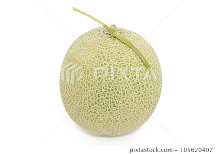 【瓜】(深度構圖) 【瓜】(深度構圖) 105620407