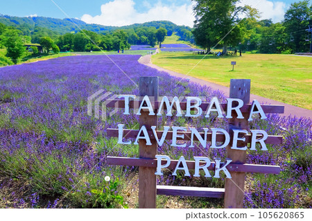 Tanbara薰衣草公園 Tanbara薰衣草公園 105620865