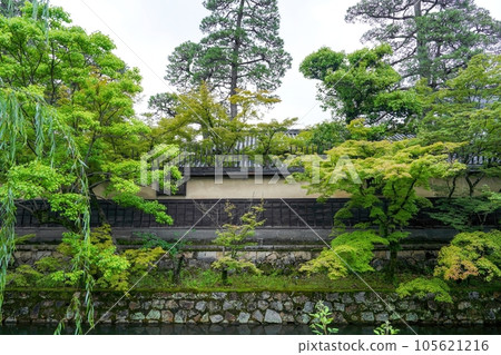 被新鮮綠色植物包圍的日本老房子的場景 105621216