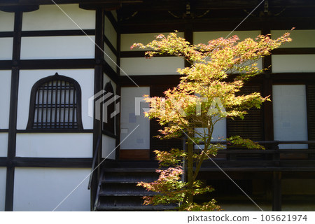 友美地1號 105621974