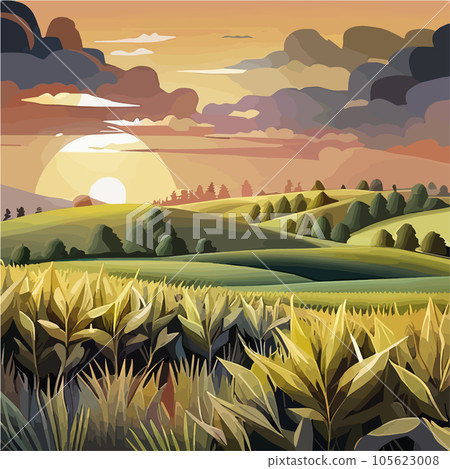 Corn field with the blue sky Realistic vector illustration of corn field 105623008