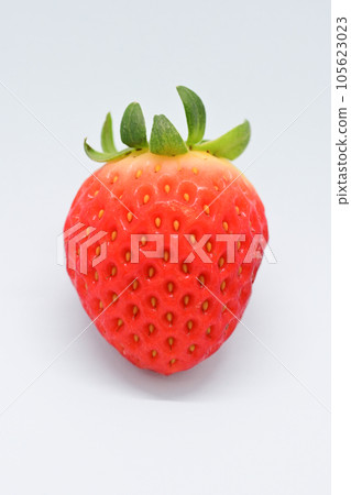beautiful fresh red strawberry isolated on white background beautiful fresh red strawberry isolated on white background 105623023