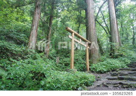 Togakushi神社 Togakushi神社 105623265