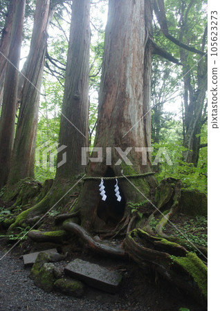 Togakushi神社 Togakushi神社 105623273