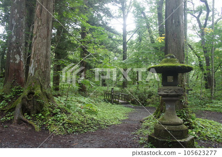 Togakushi神社 Togakushi神社 105623277