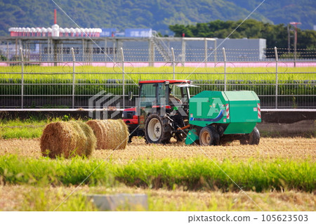 Straw roll work by tractor 105623503