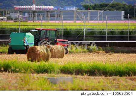 Straw roll work by tractor 105623504