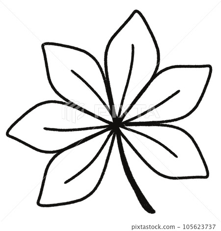Leaf  black and white  stripes lined design  design  vegetable fruit  sea  child  learning teaching  drawing book  book coloring book  development picture without color  Flower clump of grass   105623737