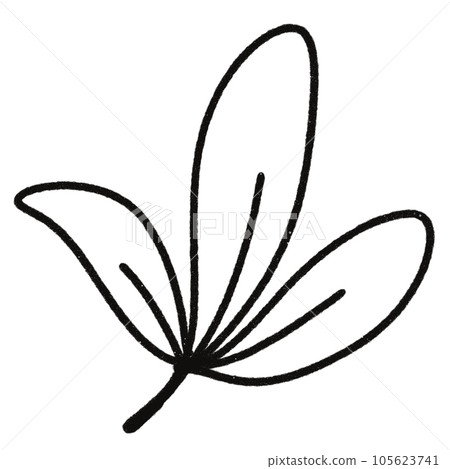 Leaf  black and white  stripes lined design  design  vegetable fruit  sea  child  learning teaching  drawing book  book coloring book  development picture without color  Flower clump of grass   105623741