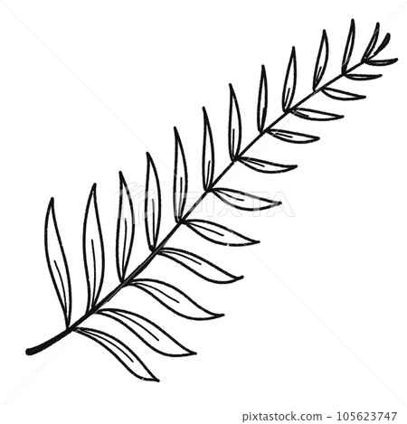 Leaf black and white stripes lined design design vegetable fruit sea child learning teaching drawing book book coloring book development picture without color Flower clump of grass Leaf black and white stripes lined design design vegetable fruit sea child learning teaching drawing book book coloring book development picture without color Flower clump of grass 105623747