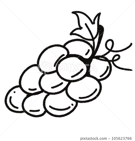 Leaf black and white stripes lined design design vegetable fruit sea child learning teaching drawing book book coloring book development picture without color Flower clump of grass Leaf black and white stripes lined design design vegetable fruit sea child learning teaching drawing book book coloring book development picture without color Flower clump of grass 105623766