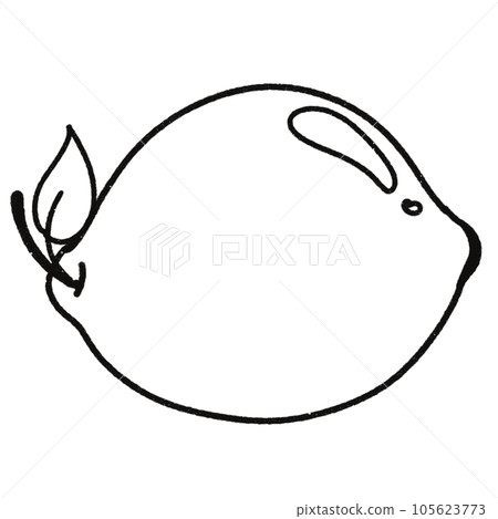 Leaf  black and white  stripes lined design  design  vegetable fruit  sea  child  learning teaching  drawing book  book coloring book  development picture without color  Flower clump of grass   105623773