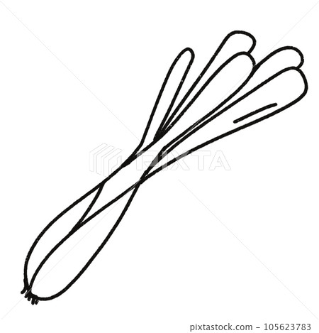 Leaf  black and white  stripes lined design  design  vegetable fruit  sea  child  learning teaching  drawing book  book coloring book  development picture without color  Flower clump of grass   105623783