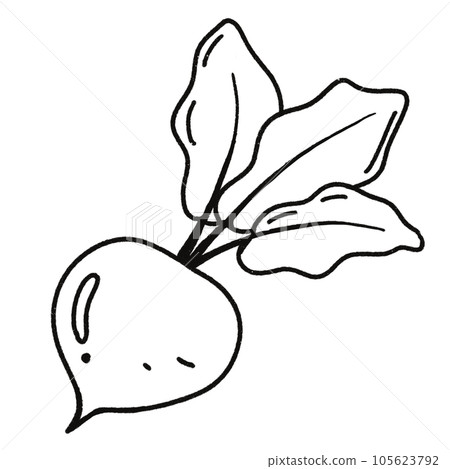 Leaf  black and white  stripes lined design  design  vegetable fruit  sea  child  learning teaching  drawing book  book coloring book  development picture without color  Flower clump of grass   105623792
