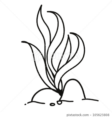 Leaf  black and white  stripes lined design  design  vegetable fruit  sea  child  learning teaching  drawing book  book coloring book  development picture without color  Flower clump of grass   105623808