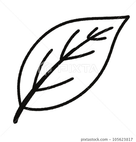 Leaf  black and white  stripes lined design  design  vegetable fruit  sea  child  learning teaching  drawing book  book coloring book  development picture without color  Flower clump of grass   105623817