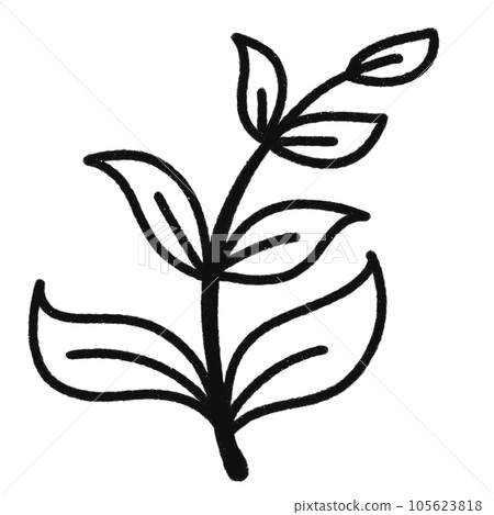 Leaf  black and white  stripes lined design  design  vegetable fruit  sea  child  learning teaching  drawing book  book coloring book  development picture without color  Flower clump of grass   105623818