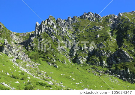 Senjojiki Curl [Komagane City, Nagano Prefecture] 105624347