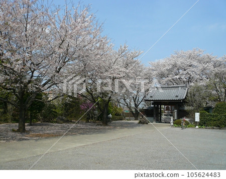 長福寺(埼玉縣川越市) 長福寺(埼玉縣川越市) 105624483