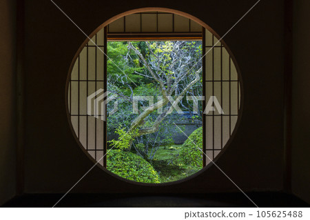 仙遊寺別院雲龍院悟窗新綠季節 105625488