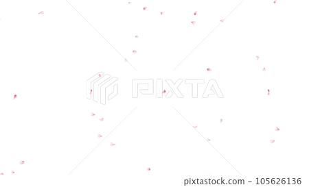 Cherry blossom petals scattered background material α material 105626136
