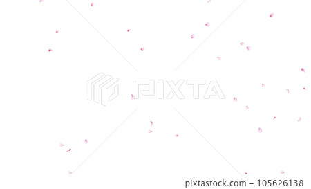 Cherry blossom petals scattered background material α material Cherry blossom petals scattered background material α material 105626138