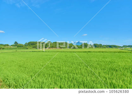 八月的筑波夏天 105626380