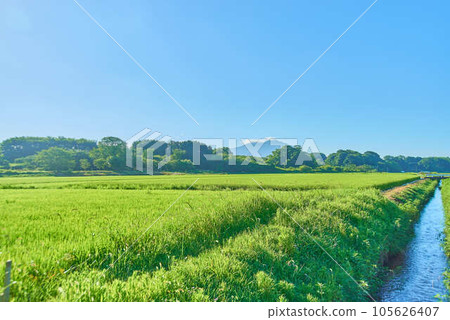 八月的筑波夏天 八月的筑波夏天 105626407