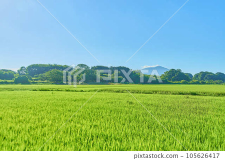 八月的筑波夏天 八月的筑波夏天 105626417
