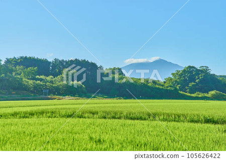 八月的筑波夏天 八月的筑波夏天 105626422