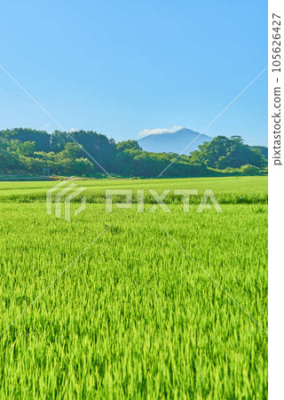 Tsukuba in summer in August 105626427