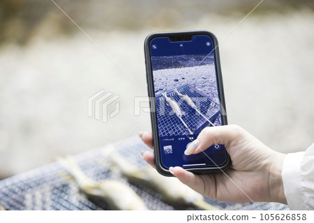 A young woman's hand shooting salt-grilled sweetfish on a barbecue 105626858