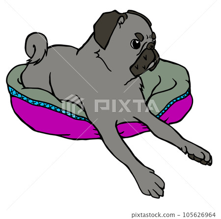 一隻黑色哈巴狗在房子裡休息 一隻黑色哈巴狗在房子裡休息 105626964