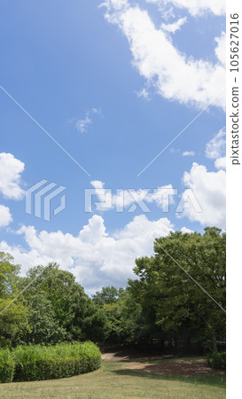 Summer blue sky and white clouds 105627016