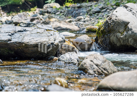 [#Kyoto] Stream of Kiyotaki River 105627286