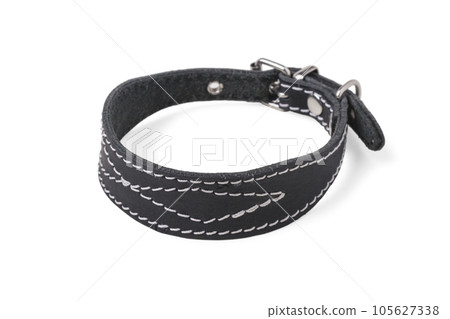 Dog collar 105627338